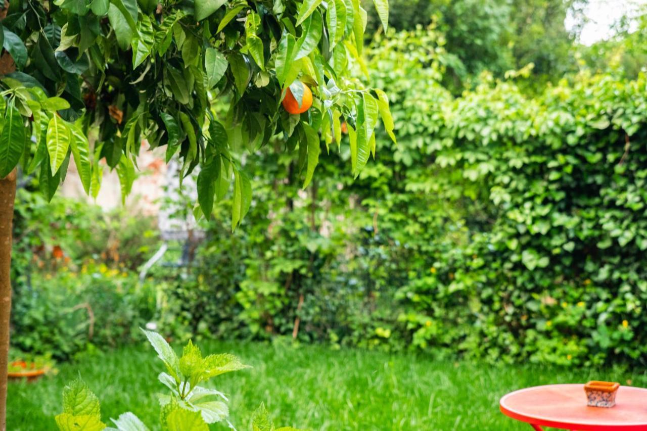 Appartement MaryLou GardenHouse à Pise Extérieur photo