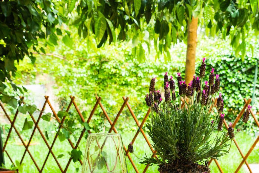 Appartement MaryLou GardenHouse à Pise Extérieur photo